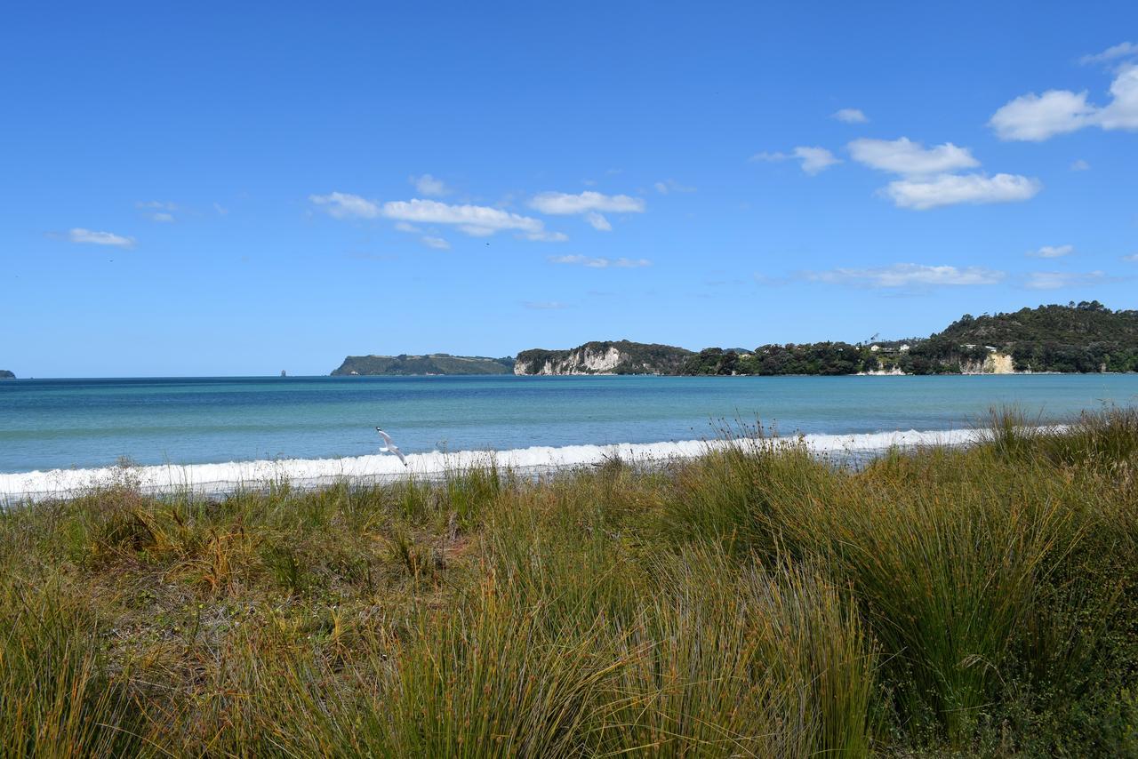 Paradise In Whitianga B&B Wells Place Zewnętrze zdjęcie